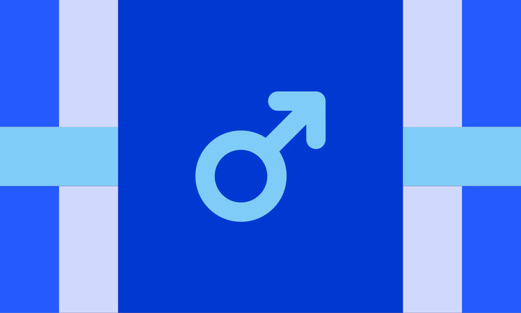 Boymestic / Boymesta