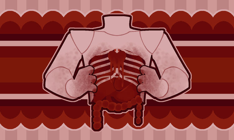 『 ✦ 』 : INGORSEAMOUR.