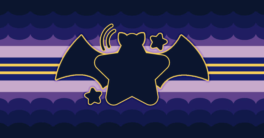 ★ . !¡ CHIROECHOSTARRIC